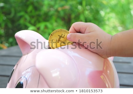 Foto d'archivio: Piggy Bank And Bitcoin
