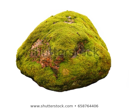 [[stock_photo]]: Mossy Cobbles