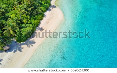 Foto stock: Beach Vegetation