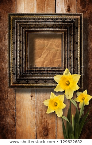 Foto stock: Old Wooden Frame For Photo With Bunch Of Flower Narcissus