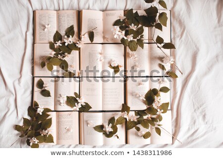 Foto stock: White Flowers In Squares Over Green Old Paper Background