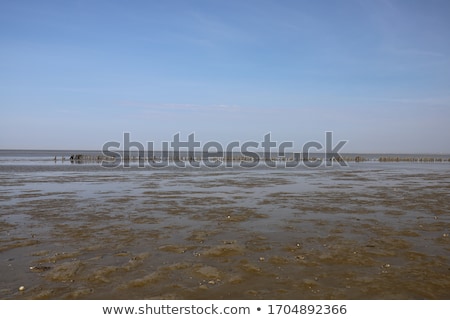 [[stock_photo]]: Low Tide