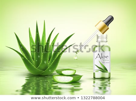 Stockfoto: Beautiful Aloe Vera Flower