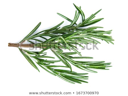 Сток-фото: Herbal Medicine Isolated On White Background