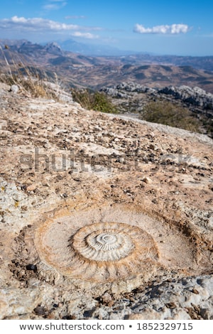 Stockfoto: Fossil In Torcal