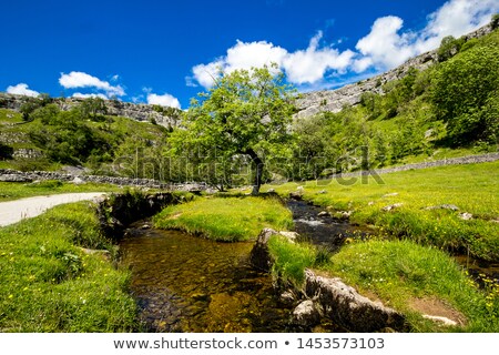 Foto stock: Malham Beck Yorkshire Dales England