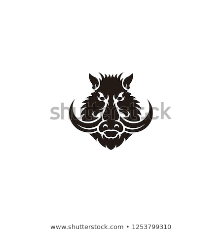 Stock photo: Skull Of Wild Boar