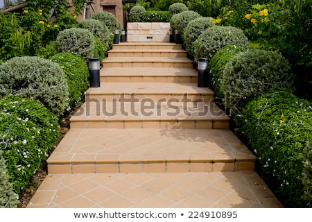 Stockfoto: Cement Stone Steps To Backyard Garden