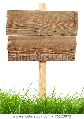 Cardboard Sign With Grass Isolated On A White Background 商業照片 © inxti