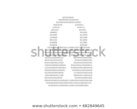 Stock foto: Key Made From Binary Code On White Background