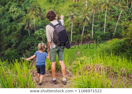 Stok fotoğraf: Dad And Son Travelers Are Looking At Beautiful Of Rice Field Among The Dense Jungle
