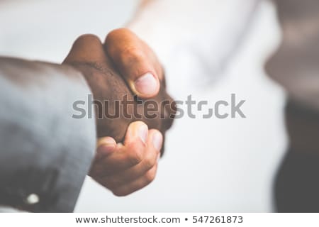 Zdjęcia stock: Partnership Handshake Business Mans B2b