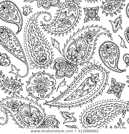 ストックフォト: Hand Drawn Paisley Ornament