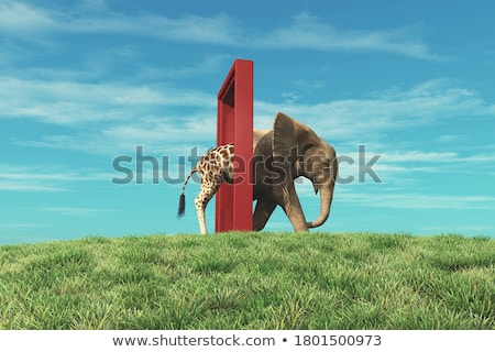 Stock photo: Change Concept