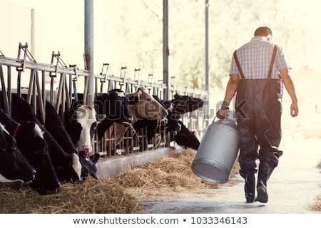 Foto stock: Milk Cow And Dairy Foods