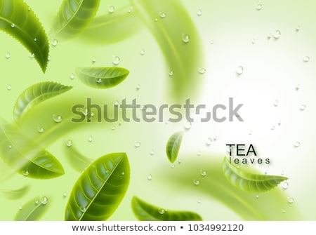 Stock photo: Green Tea Background