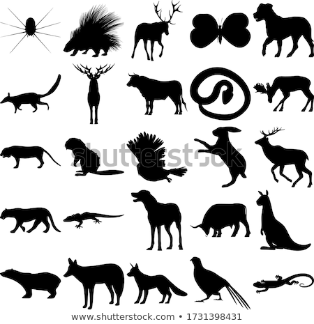 Foto stock: Butterfly Insect Animal Silhouette