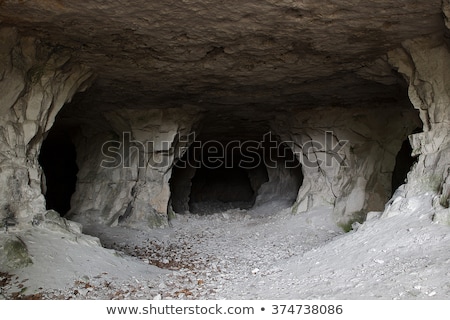 Zdjęcia stock: View From Inside To Entrance Of Natural Cave