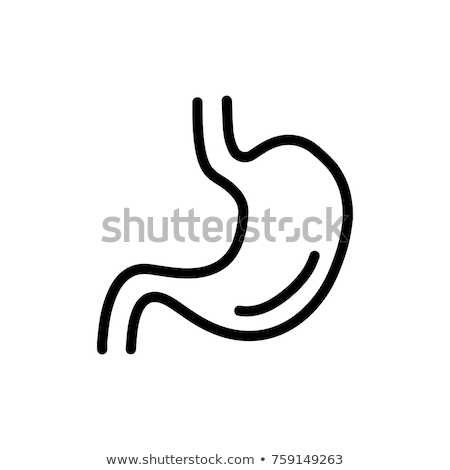 Stock fotó: Gut In Stomach Icon Vector Outline Illustration