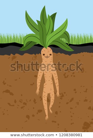 Foto stock: Mandrake Root In Ground Legendary Mystical Plant In Form Of Man