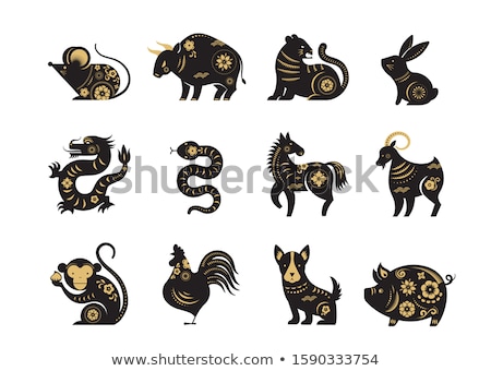 Stock foto: Chinese Astrology Icon