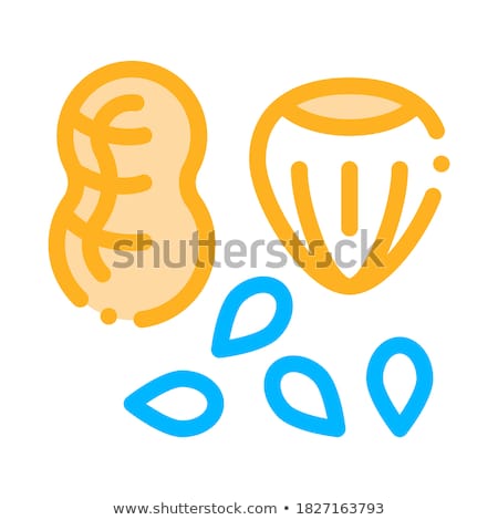 Stock fotó: Assortment Healthy Food Nuts Vector Thin Line Icon