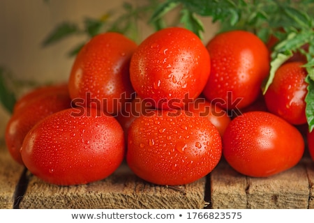 Stockfoto: Erse, · levendige · Roma-tomaten