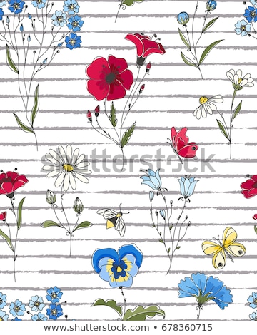 Сток-фото: Hand Drawn Decorative Poppy