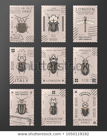 Stok fotoğraf: Label Template With Different Types Of Insects