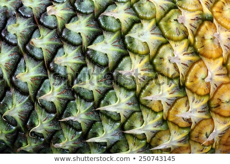 Stockfoto: Texture Of Pineapple Skin