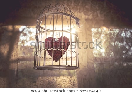Stockfoto: Heart Prison Window