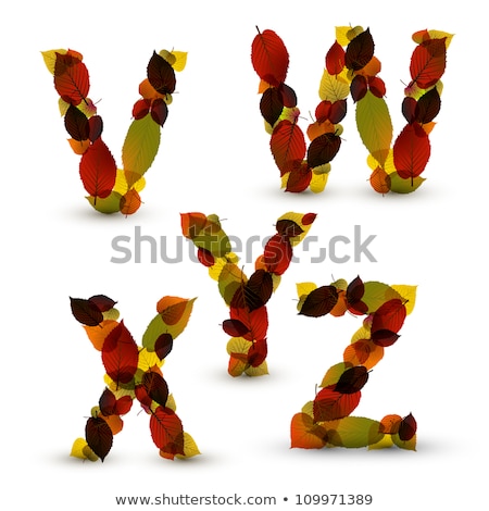 Stock fotó: Autumn Vector Alphabet Letters Font