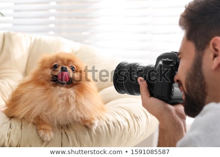 Foto stock: Young Photographer Taking Pictures