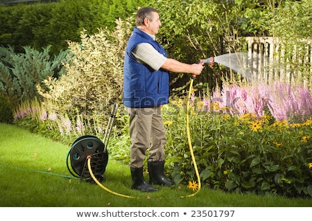 Foto stock: Senior Man Spraying Water On Flowers