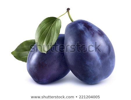 [[stock_photo]]: Plum Two