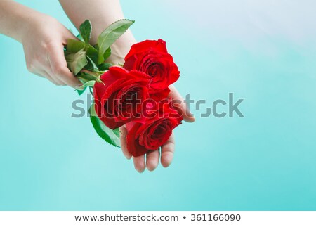 ストックフォト: Girl With A Rose In Hands 3