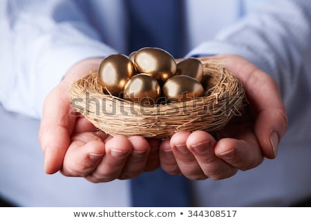 Stock photo: Businessman Holding Nest Full Of Golden Eggs