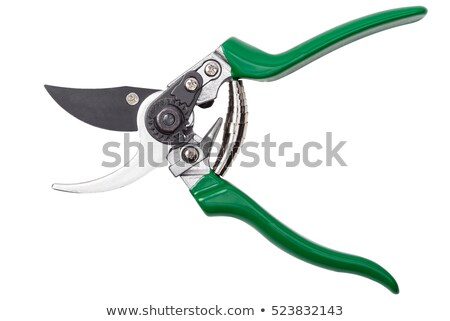 Foto stock: Garden Shears With Green Handles Averruncator