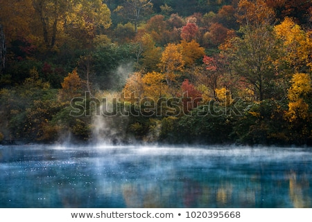 Autumn Onsen Lake Aomori Japan Stok fotoğraf © vichie81