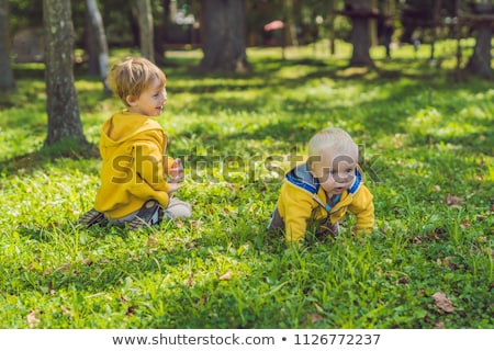 Foto stock: Two Happy Brothers In Yellow Sweatshirts In The Autumn Park