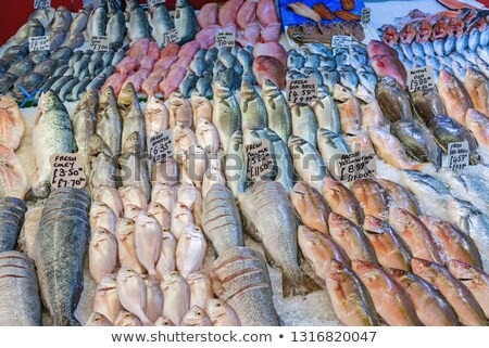Great Selection Of Fresh Fish For Sale Сток-фото © elxeneize