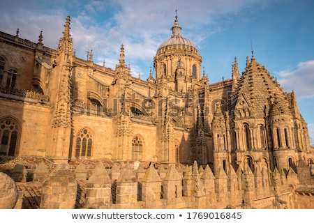 Foto stock: The Cathedral Of Salamanca