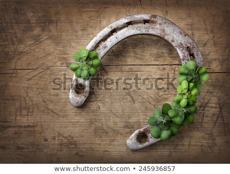 Foto stock: Horseshoe With Shamrock On Wooden Background