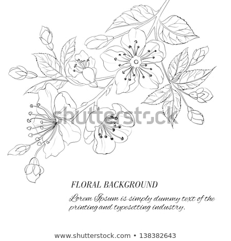 Stockfoto: Sakura Flower Branch Tree Element Retro Vector