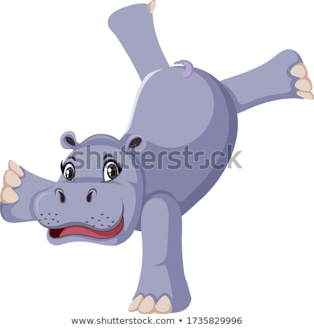 Stok fotoğraf: Cute Hippo Doing One Handstanding On White Background