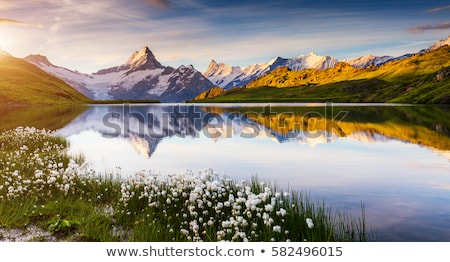 Stock photo: Spring Landscape With A Mountain Lake