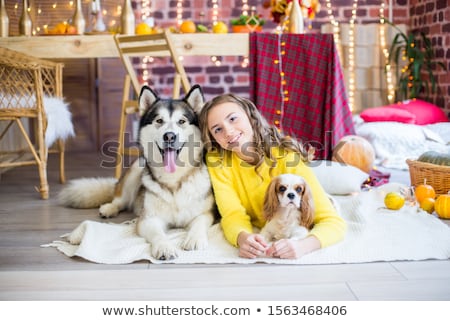 Foto stock: Portrait Of Smiling Young Blonde With Two Dogs