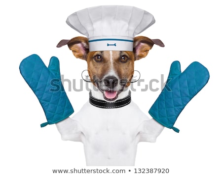 Foto d'archivio: Dog Cook Chef