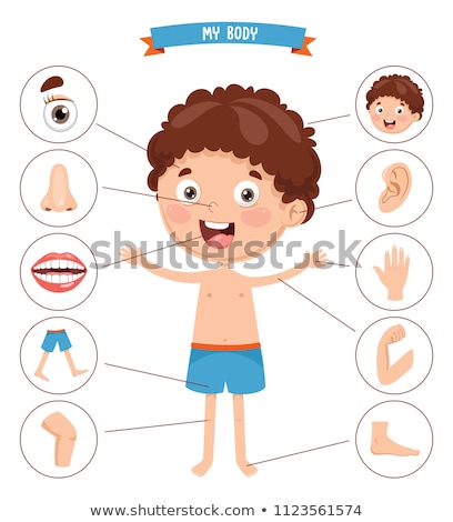 [[stock_photo]]: Nose Body Part Illustration