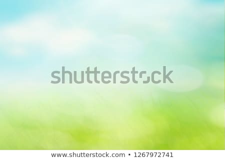 Zdjęcia stock: Abstract Sunny Spring Background